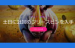【毎週土日に合計42回のフリースピンをプレゼント!!】21.com 無期限 2022
