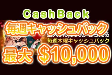 【毎週キャッシュバック15%最大10,000ドル(約136万円)!!】ライブカジノハウス 2023