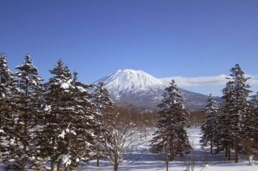 LETグループ、北海道の土地を2700万ドルで売却へ